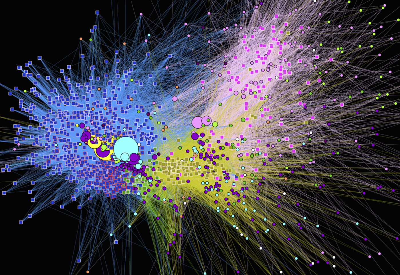Microbiome network visualisation